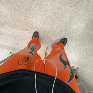 Whip Freestyle (Explicit)