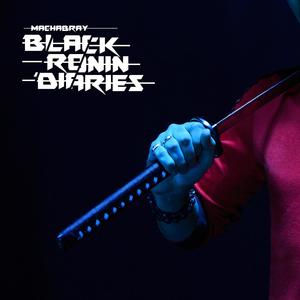 Black Ronin Diaries