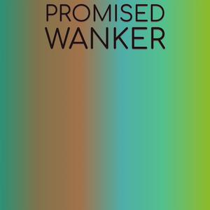 Promised Wanker