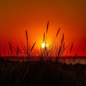 Inhlupheko(feat. DjExpo SA & Promilion) (Remix)