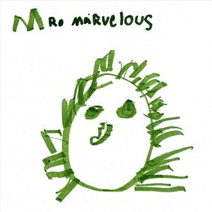 Mr. Marvelous
