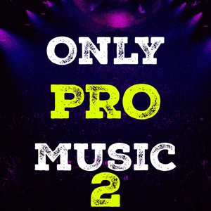 Only Pro Music, Vol. 2