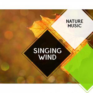 Singing Wind - Nature Music