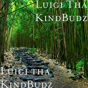 Luigi tha KindBudz (Explicit)