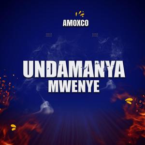 Undamanya Mwenye