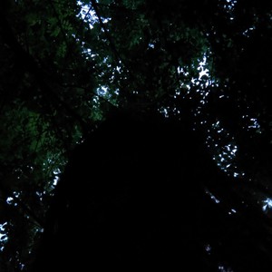 False Gods (Explicit)