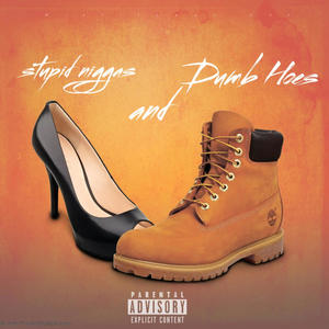 Stup!d Nggas nd Dumb Hoz (feat. Stunna koby) (Explicit)