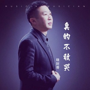 真的不敢哭 (DJ版)