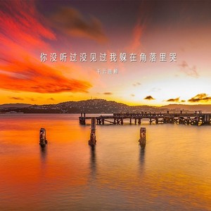 每当我悲伤过也被暴雨淋过