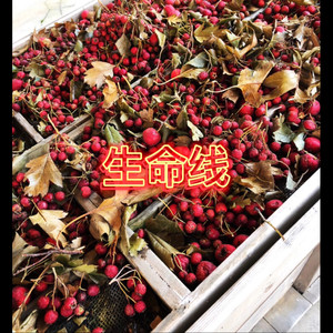 为爱停留 (酒吧版)