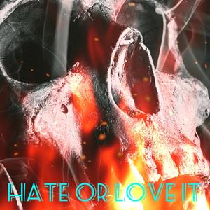 HATE OR LOVE IT (Explicit)