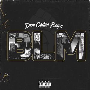 BLack Lives Matter (Explicit)