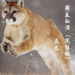 朋友的酒 (绝佳版)