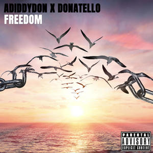 Freedom (feat. Adiddydon & Donatello) [Explicit]