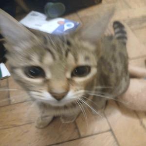 MY FAV COLOUR PINK (Explicit)