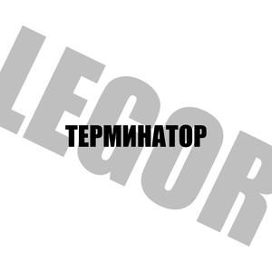 ТЕРМИНАТОР