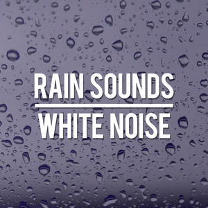 Rain Sounds & White Noise