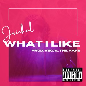 What I Like(feat. Jrichol) (Explicit)