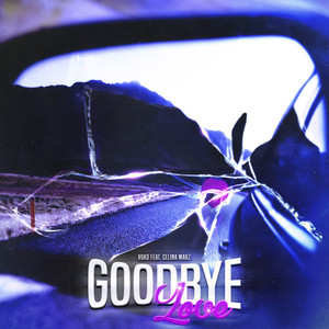 Goodbye Love (Explicit)