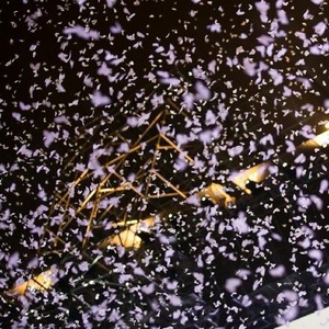 五月天-派对动物 - 2016Just Rock It 十场演唱会 @香港红堪体育馆