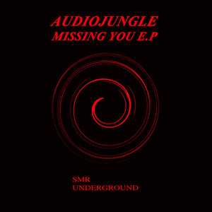 Missing You (Original Mix)