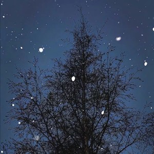 阴雨天会想什么