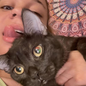 Text back (Explicit)