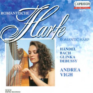 Harp Sonata in C Minor - I. Allegro ma non troppo