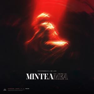 Mintea Mea (feat. RA & RS) (Explicit)