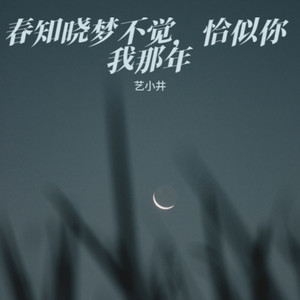 春知晓梦不觉，恰似你我那年 (咏春降调版)