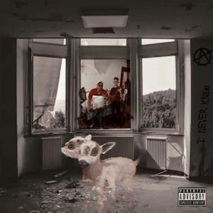 On Me(feat. IzzySoWavy Y'all) (Explicit)