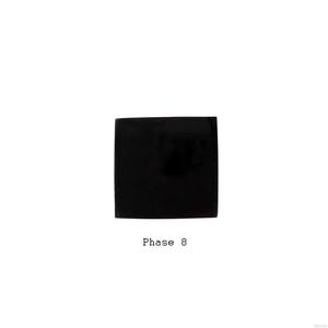 Phase 8