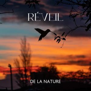 Réveil de la nature: Relaxation paisible avec le chant des oiseaux