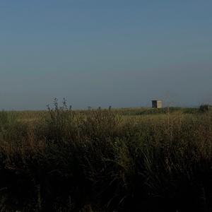 Next to the City I Live (Explicit)