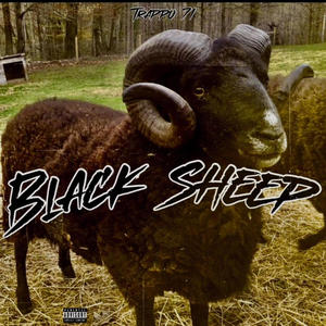 $w Bound (feat. Rich Opp) (Explicit)