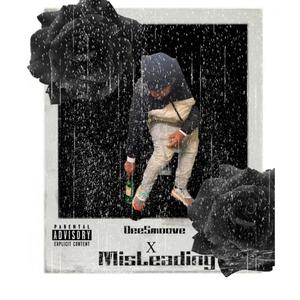 MisLeading (Explicit)