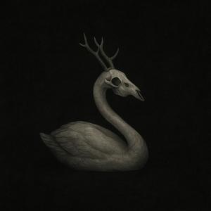 Swan (Explicit)
