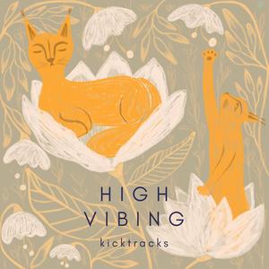 High Vibing