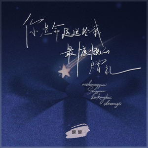 你是命运送给我最慷慨的赠礼