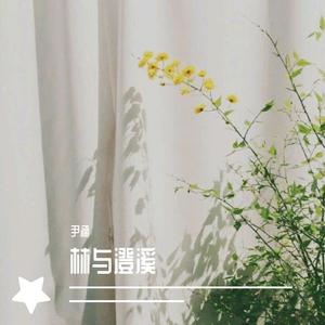 挥着翅膀的女孩 (伴奏)封面