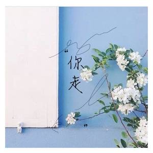 你走（翻自 松紧先生（李宗锦））