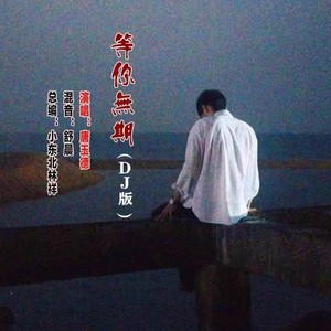 等你无期 (DJ版)