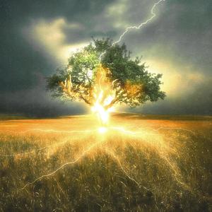 Low Cash (feat. FEDALL) (Explicit)