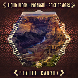 Peyote Canyon (Tylepathy Ambient Remix)
