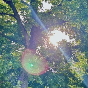 カラコンウインク