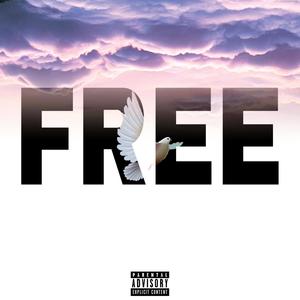 Free (Explicit)