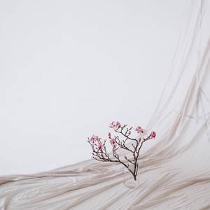 Naghmehaye Koochaye Qadim