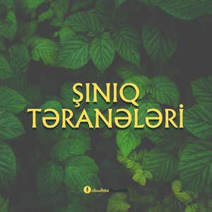 Şınıq Təranələri (Super Rəqs Havası)