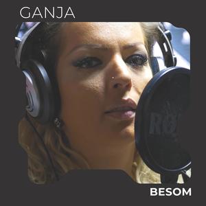 Besom