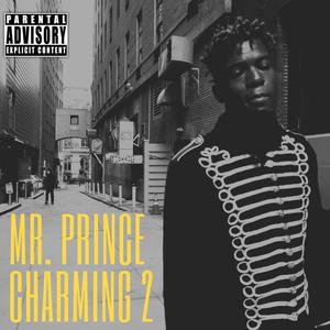 Mr. Prince Charming 2 (Explicit)